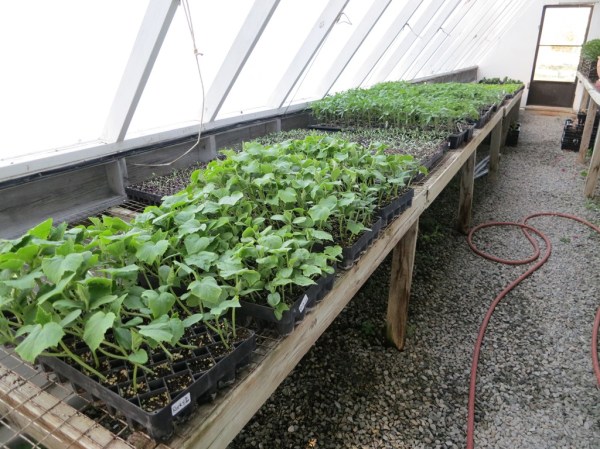 ???????????????????????????????