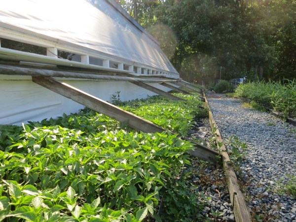 ???????????????????????????????