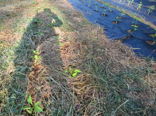 ???????????????????????????????