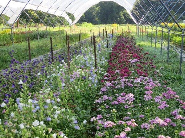 ???????????????????????????????