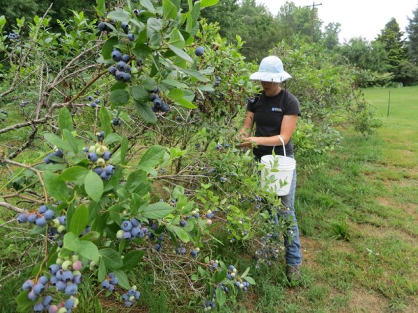 ???????????????????????????????