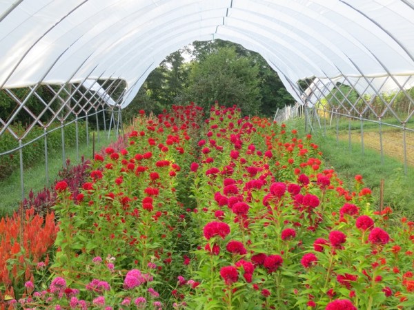 ???????????????????????????????