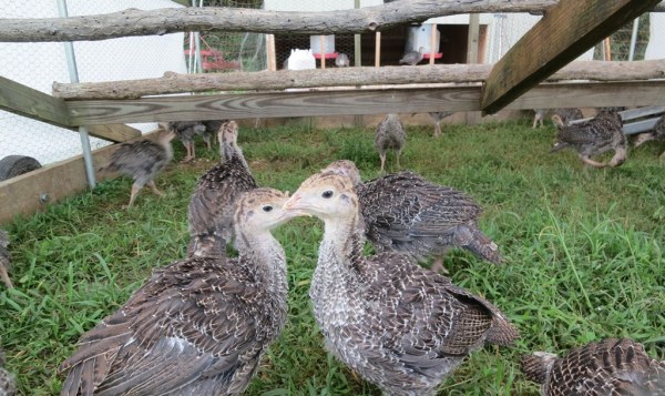 ???????????????????????????????