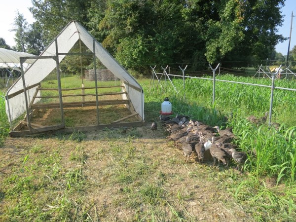 ???????????????????????????????