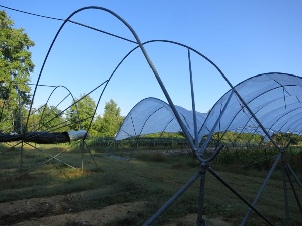 ???????????????????????????????