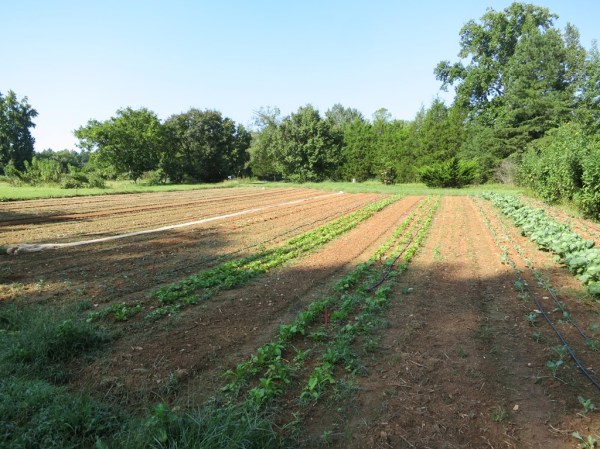 ???????????????????????????????