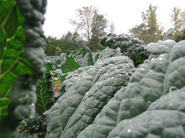 ???????????????????????????????