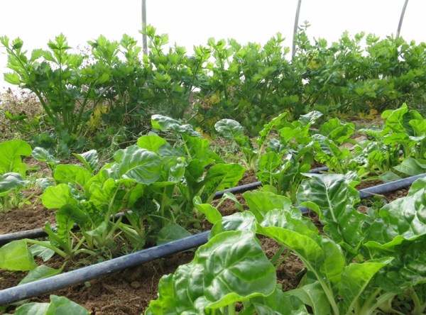 ???????????????????????????????