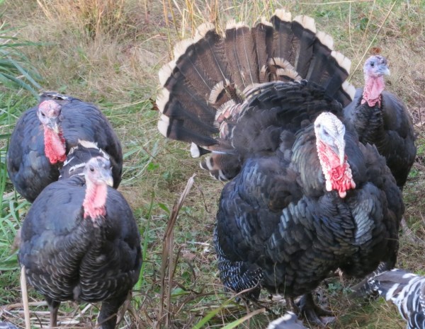 ???????????????????????????????