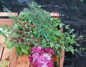 ???????????????????????????????