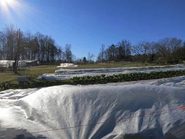 ???????????????????????????????