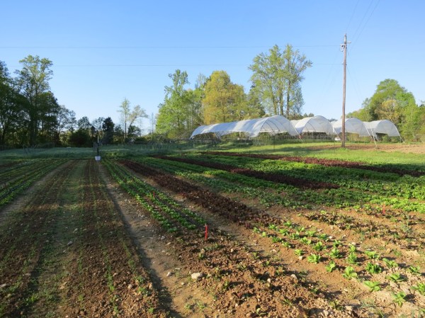 ???????????????????????????????