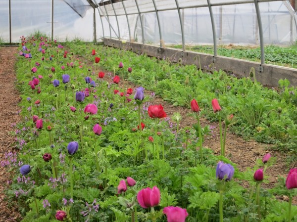 ???????????????????????????????