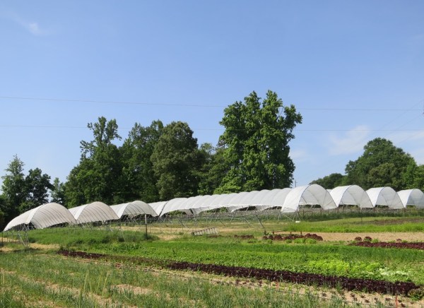 ???????????????????????????????