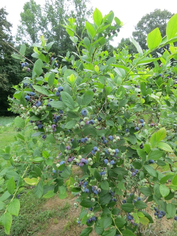 ???????????????????????????????