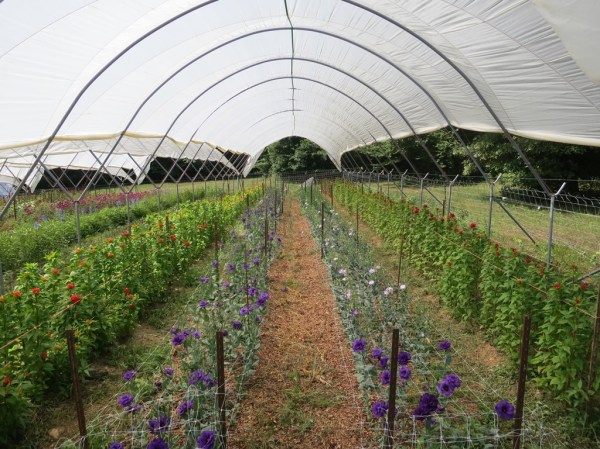 ???????????????????????????????