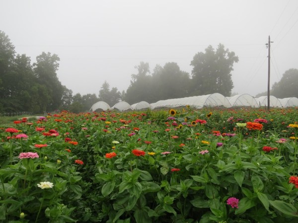 ???????????????????????????????