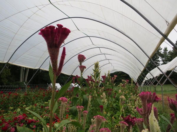 ???????????????????????????????