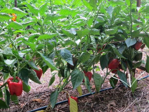 ???????????????????????????????