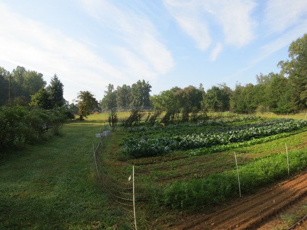 ???????????????????????????????