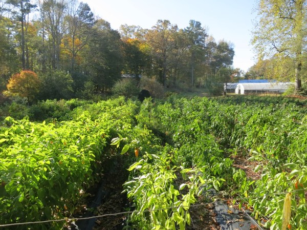 ???????????????????????????????