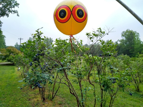 IMG_20200519_143107865_HDR