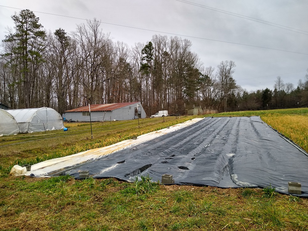 IMG_20210205_104823815_HDR