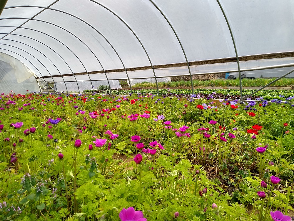 IMG_20210325_130633404_HDR