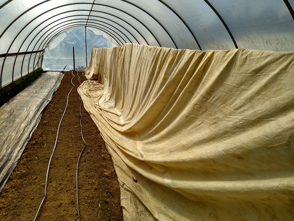 IMG_20210401_172614672_HDR