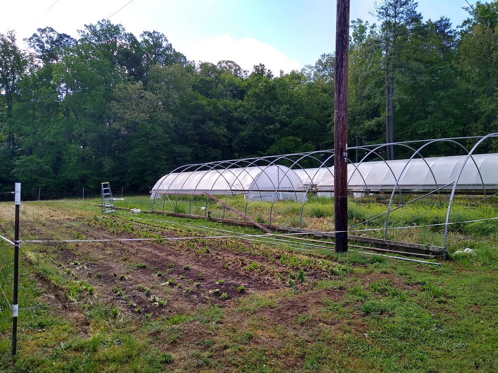 IMG_20210505_091915040_HDR