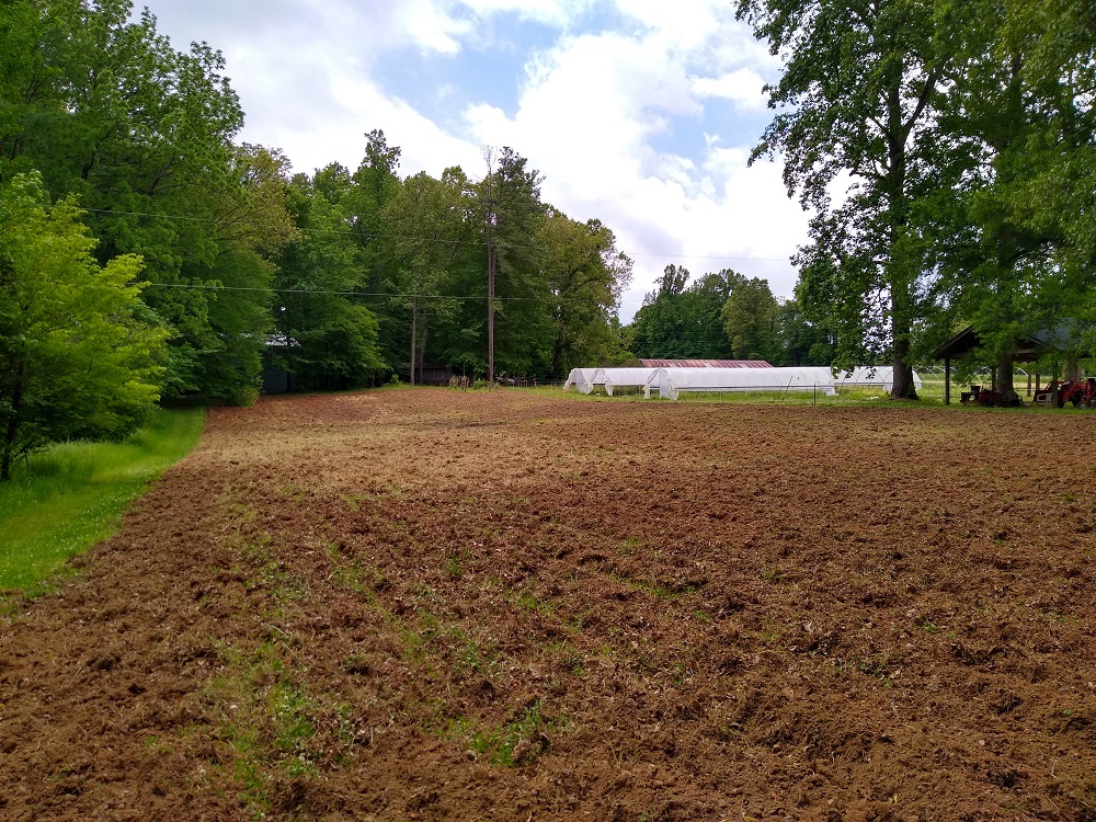 IMG_20210506_132611076_HDR